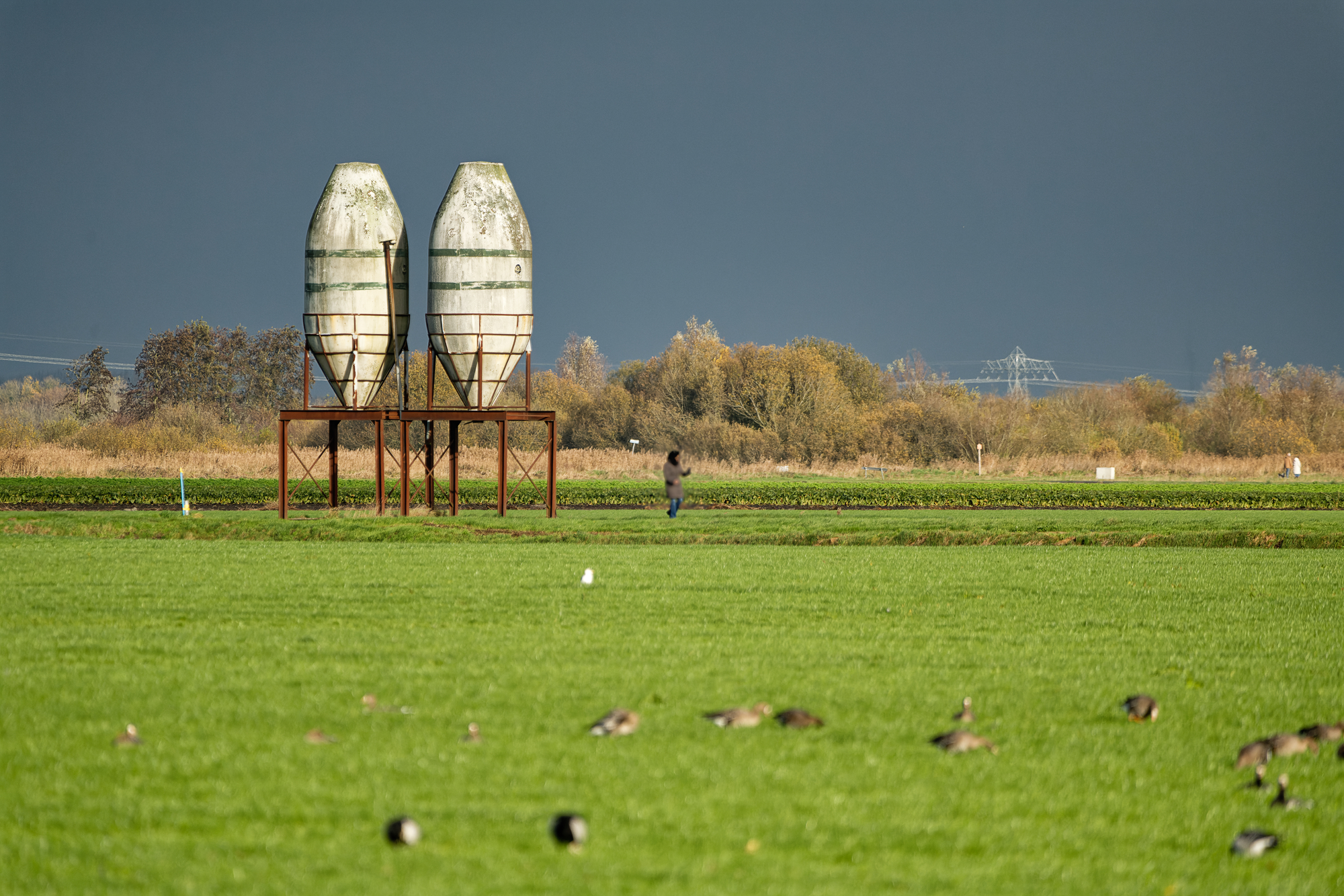 _HP83222-twee-silo's